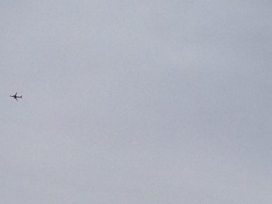 Airplane take me away