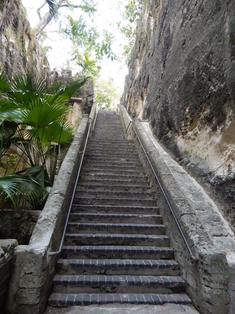 bermuda and the bahamas