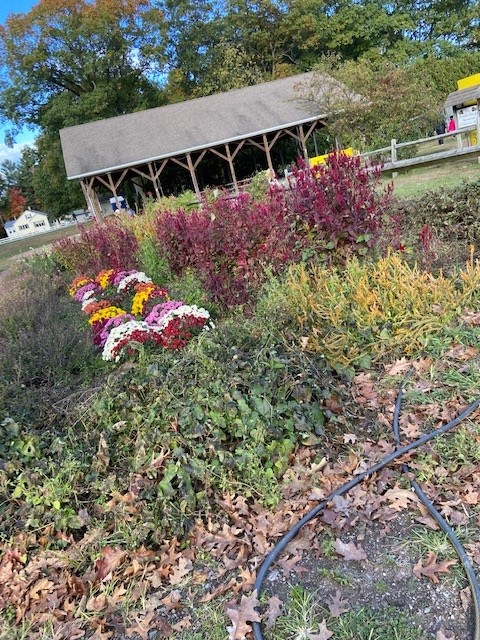 Sam Mazza Colchester Vermont